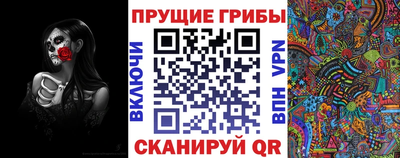 дарнет шоп  Новочебоксарск  Галлюциногенные грибы Magic Shrooms 