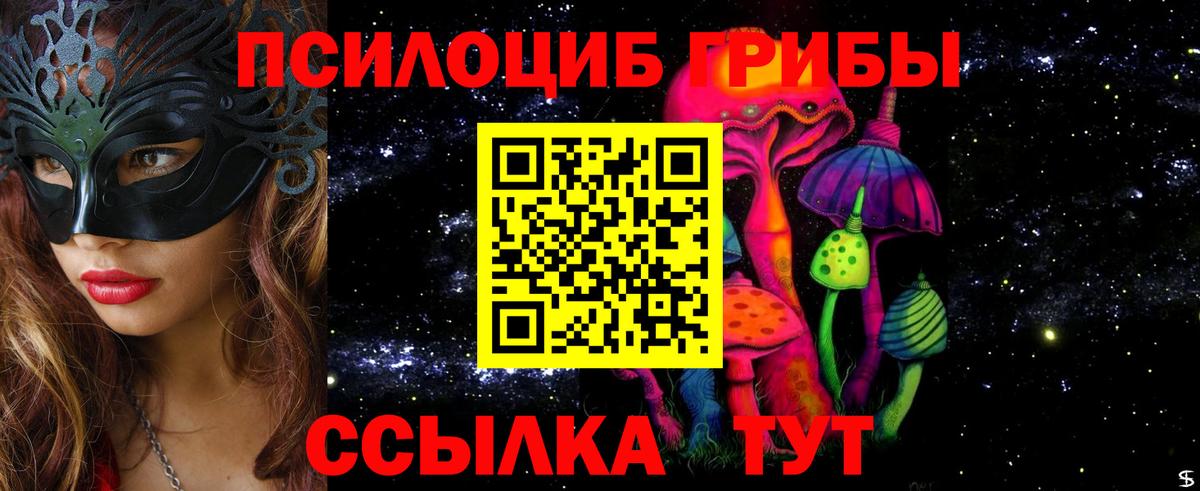 Новочебоксарск  Псилоцибиновые грибы MAGIC MUSHROOMS  Вход с VPN 