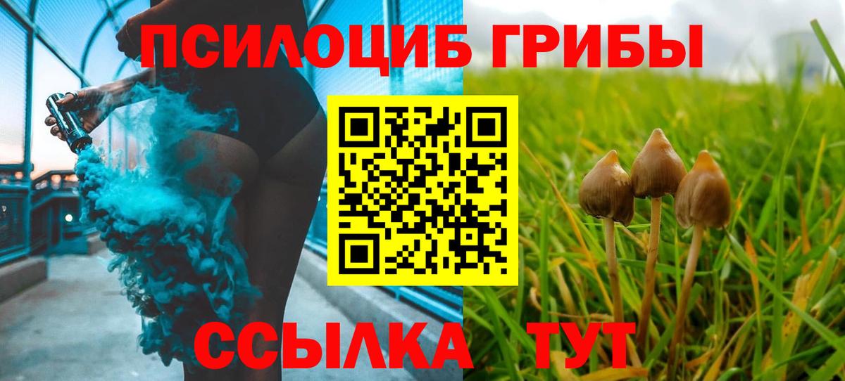 Псилоцибиновые грибы Cubensis Новочебоксарск
